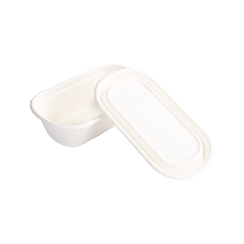 經濟實惠950ml 帶蓋單格容器